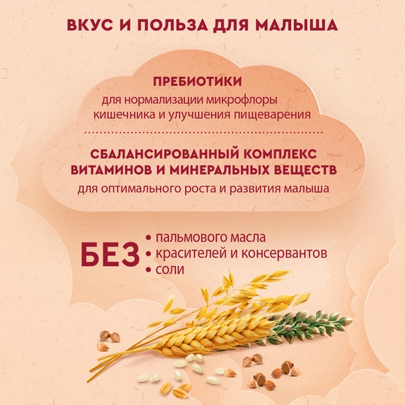 Винни 5 жарма сүтті ботқасы